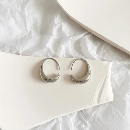 Luxury Gold & Silver Earrings