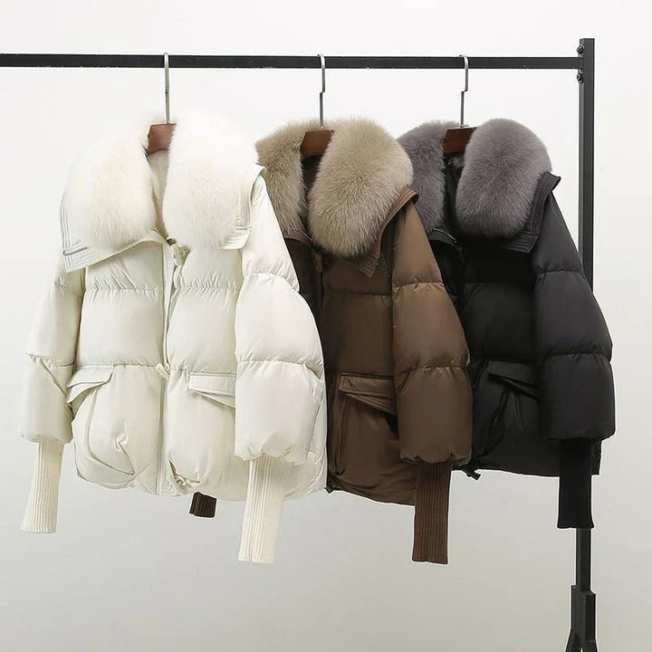 Valine | Stylish Jacket